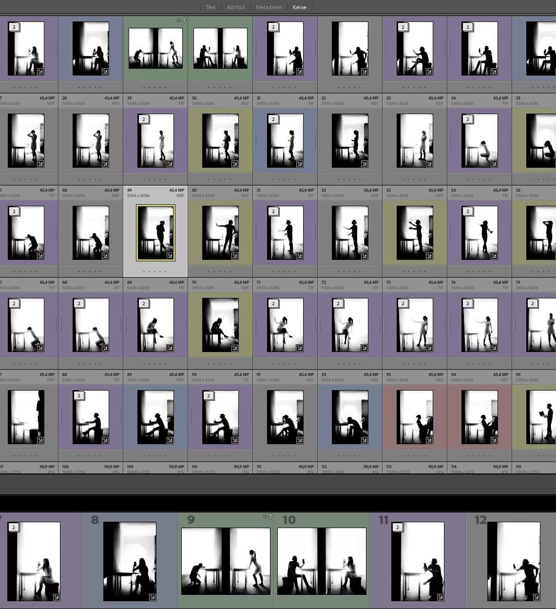 Bildschirmfoto der Rasteransicht in Lightroom mit vielen Kompositionen zur Auswahl