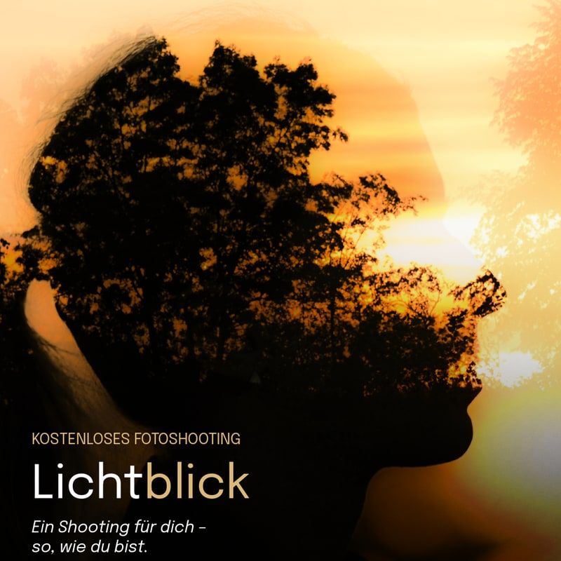 Logo von Lichtblick – kostenloses Fotoshooting, ein Gesicht im Profil mit Baum im Sonnenuntergang