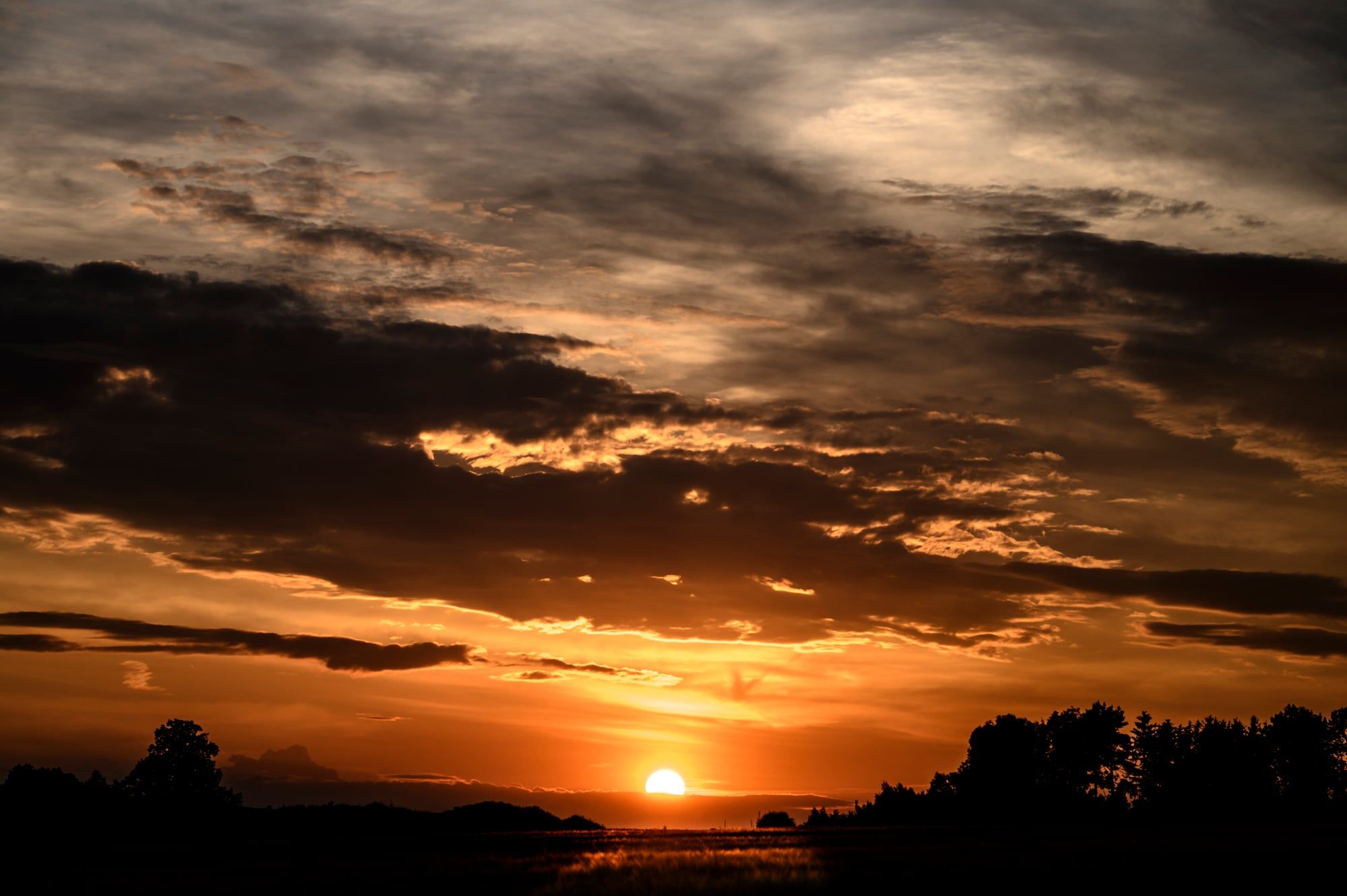 Sonne geht hinter einer Baumreihe unter, darüber dunkle Wolken im Abendrot, aufgenommen in Bayern