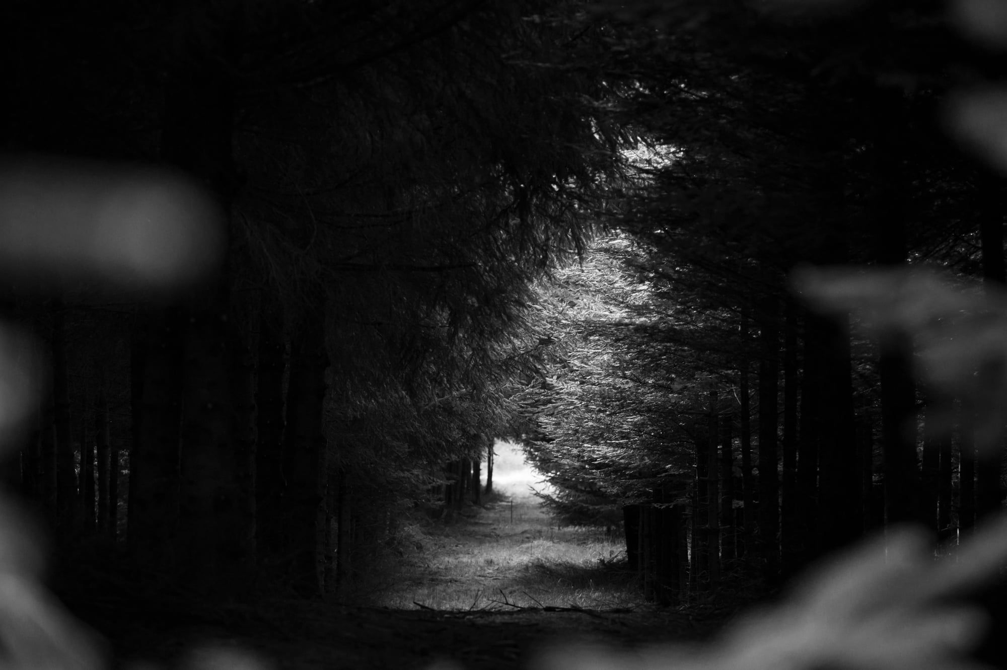 Dunkler Waldweg in Schwarzweiß, der auf einen hellen Ausgang zuführt, aufgenommen in Bayern